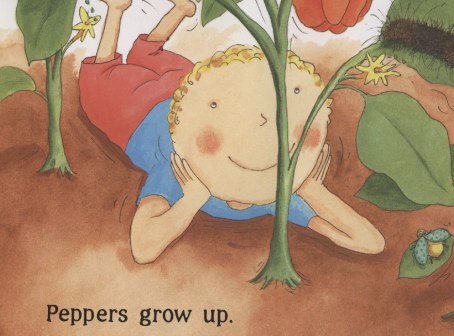 A boy watches a pepper plant grow. Illustration from “Up, Down, and Around.”